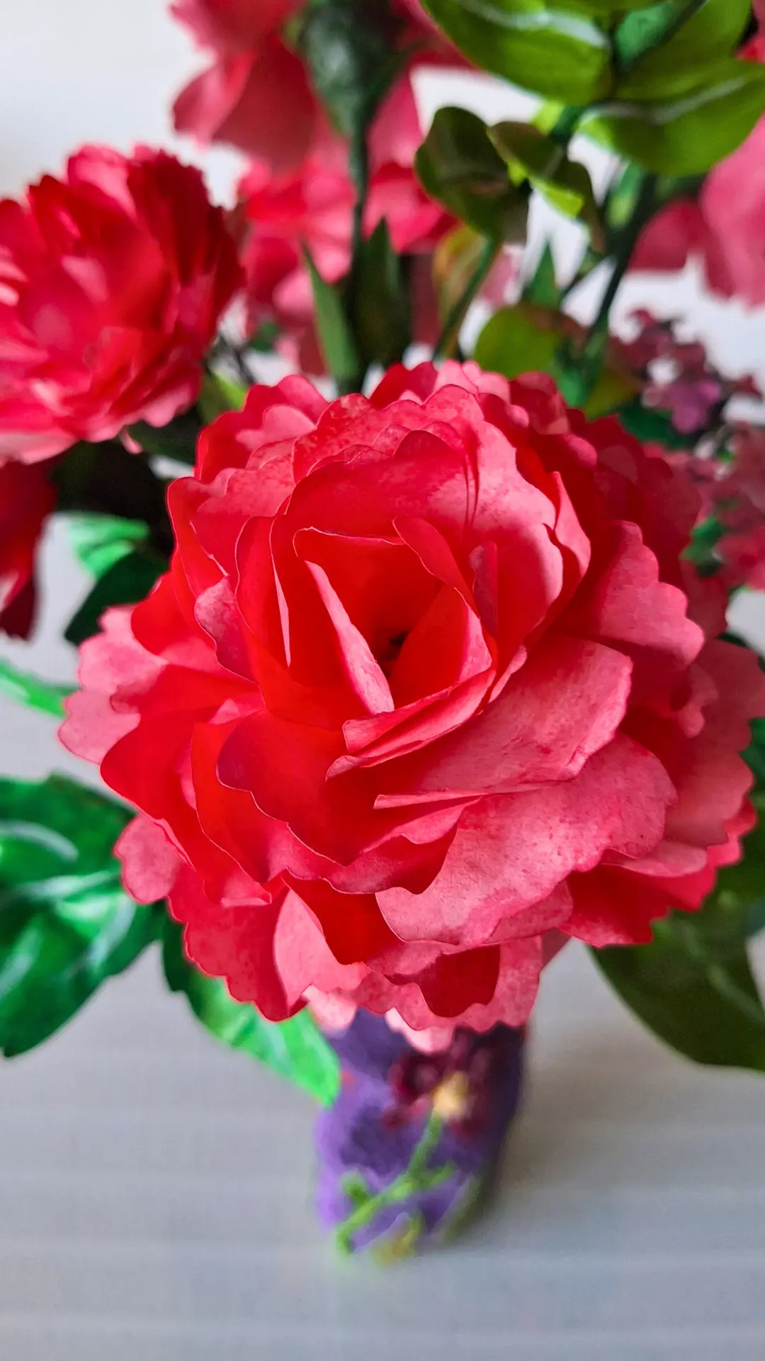 Elegance in Every Petal: The Carnation