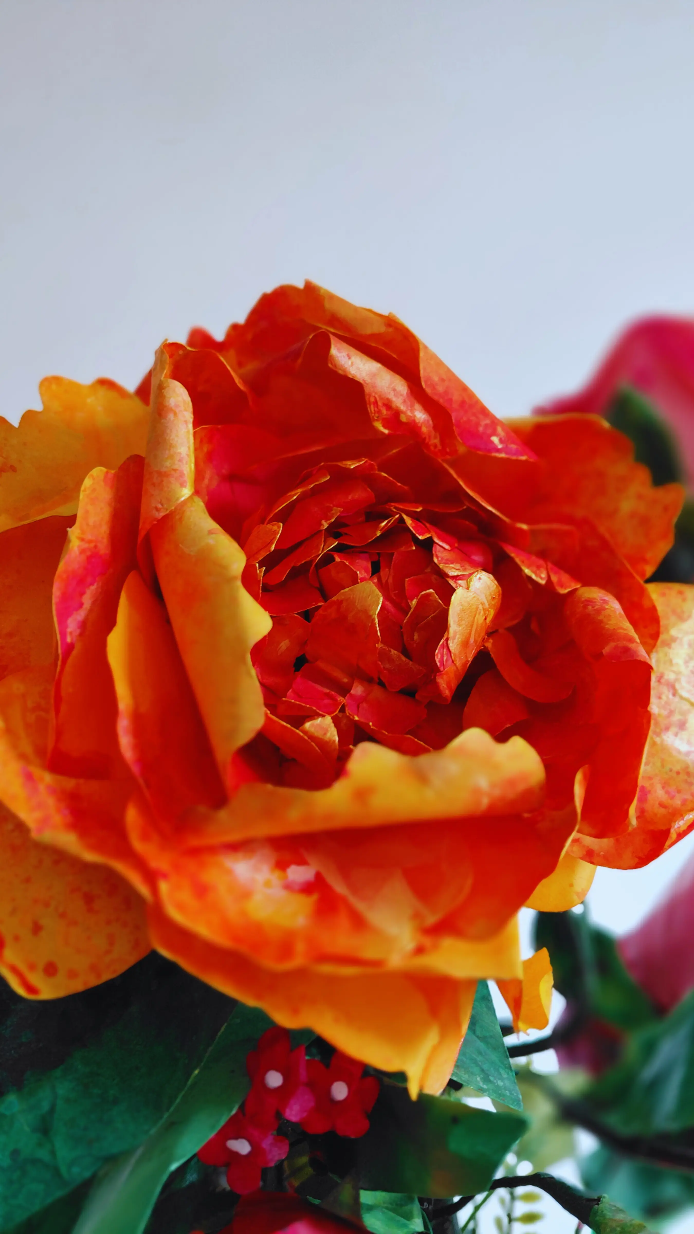 Handmade paper peonies by Caro Flower Art