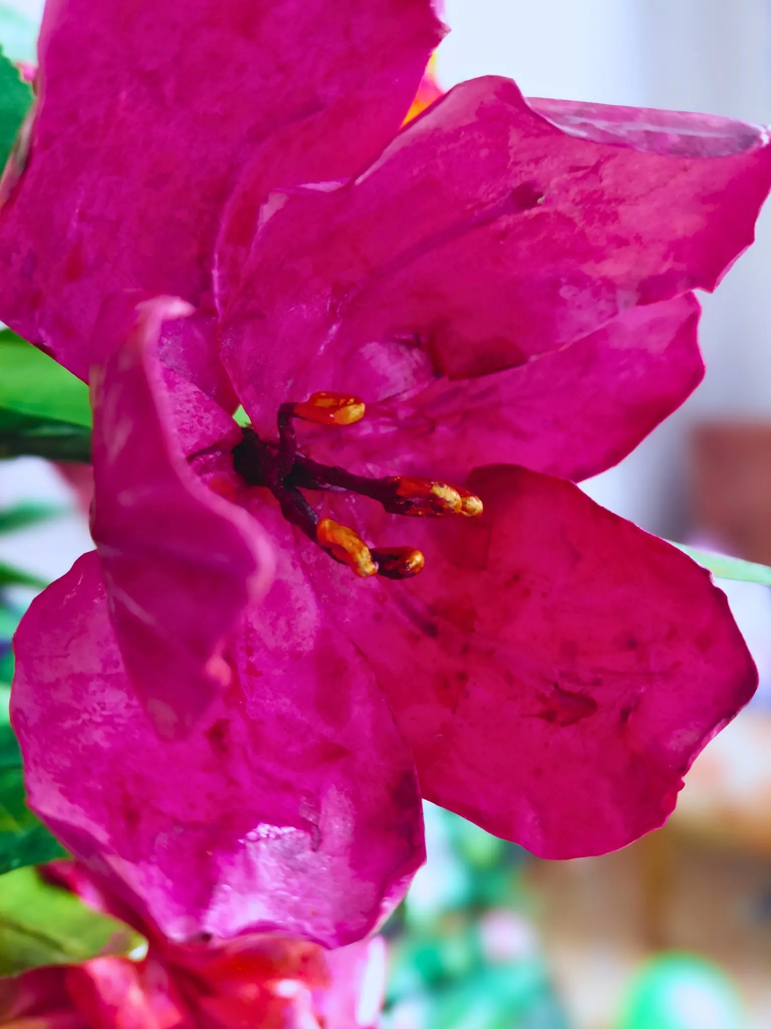 tulips handmade paper flowers